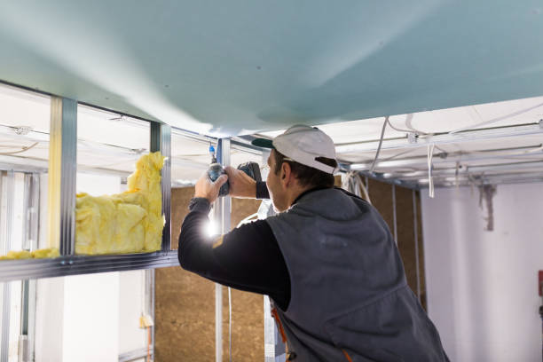 Best Geographic-Specific Insulation Services in Lmerton, PA