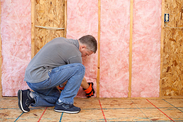 Best Eco-Friendly Insulation in Lmerton, PA
